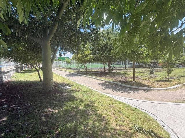 place photo 17