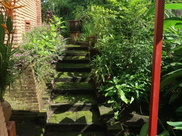 place photo 26