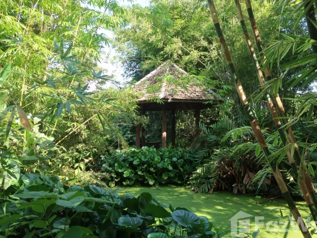 place photo 44