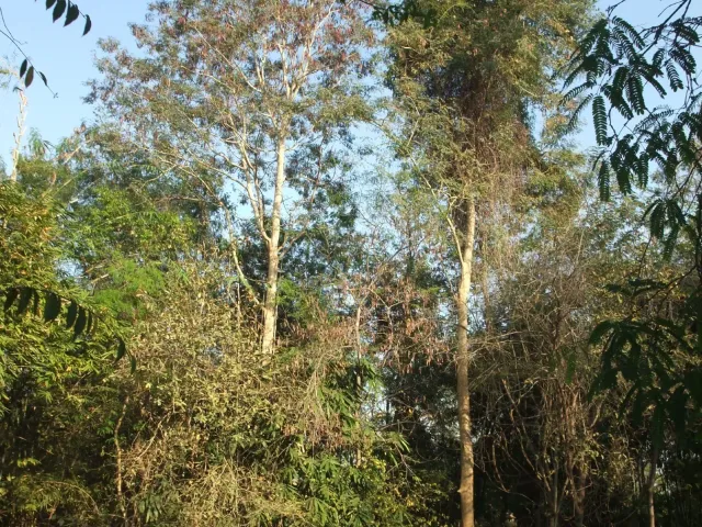 place photo 40