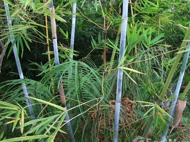 place photo 35