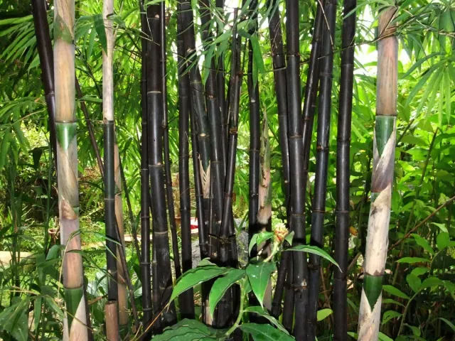 place photo 37