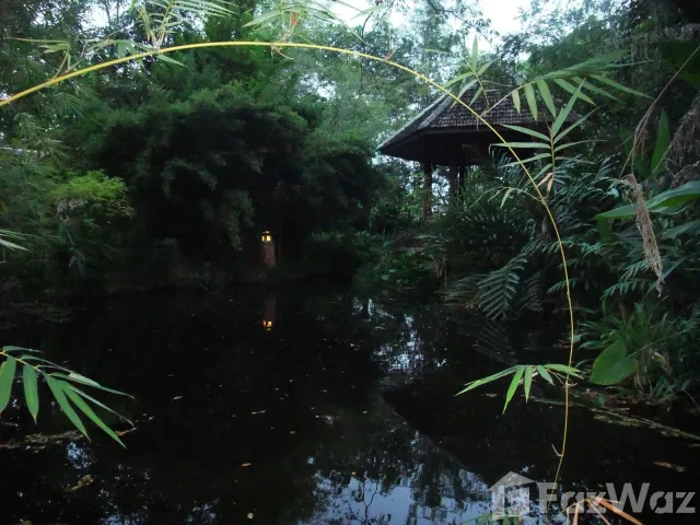 place photo 45