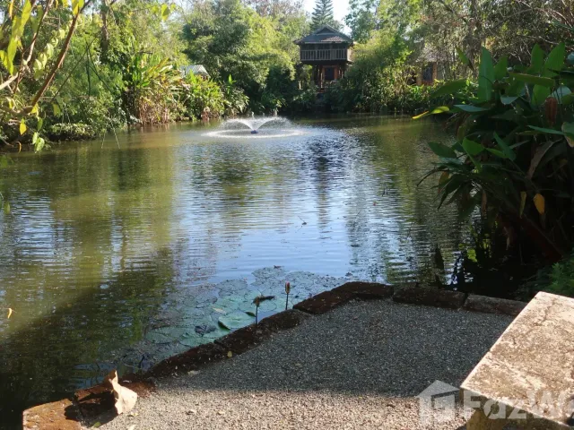 place photo 42