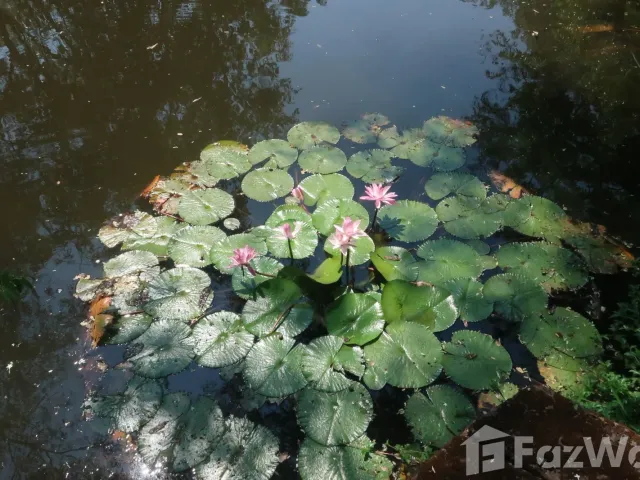 place photo 43