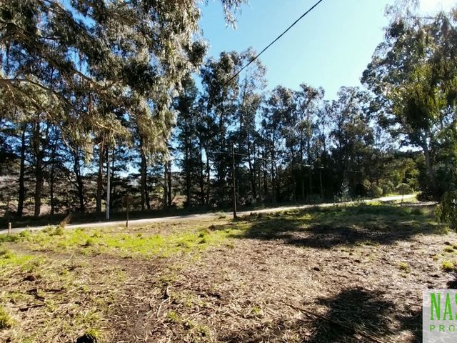 place photo 35