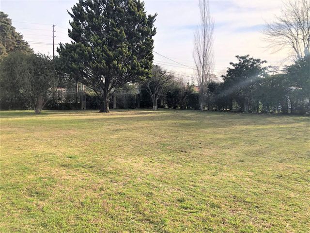 place photo 25