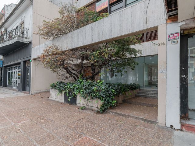 place photo 37