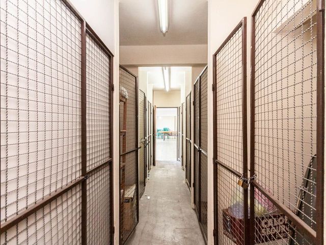 place photo 53