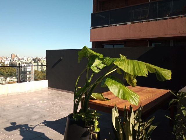 place photo 61