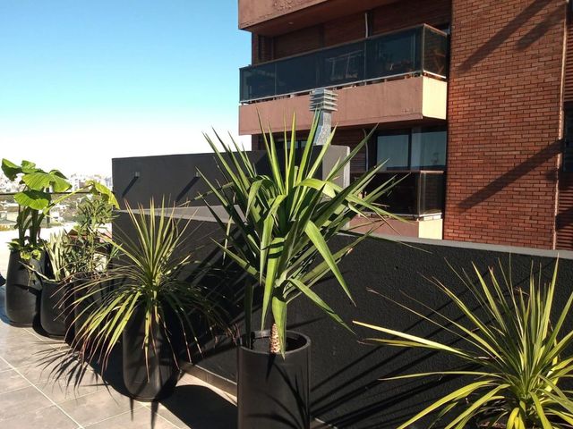 place photo 60