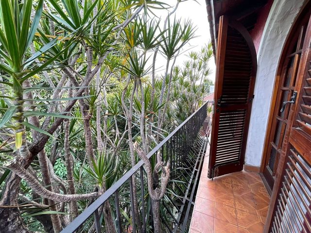 place photo 59