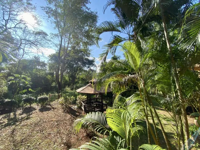 place photo 33