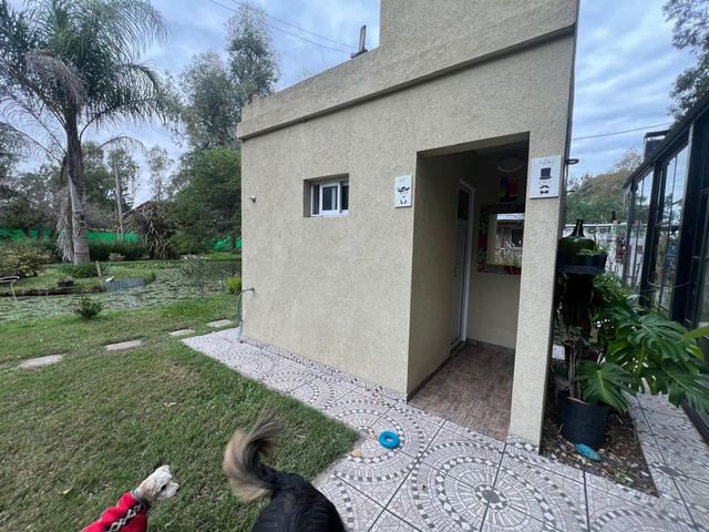 place photo 38