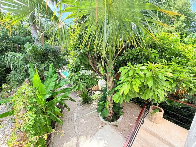 place photo 38