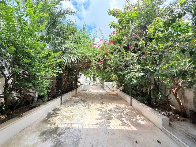 place photo 31