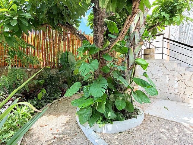 place photo 37