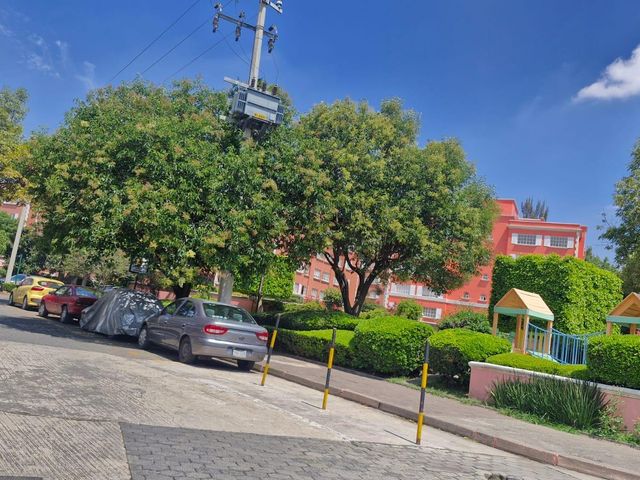 place photo 27