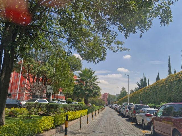 place photo 23