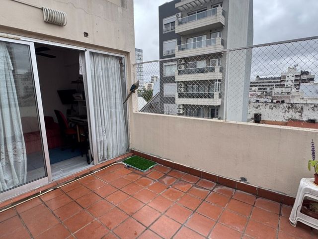 place photo 22