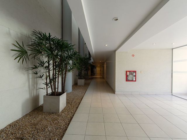 place photo 50