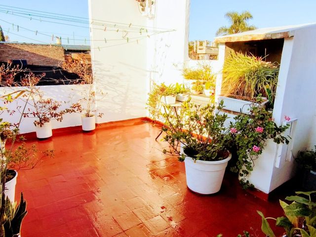 place photo 25