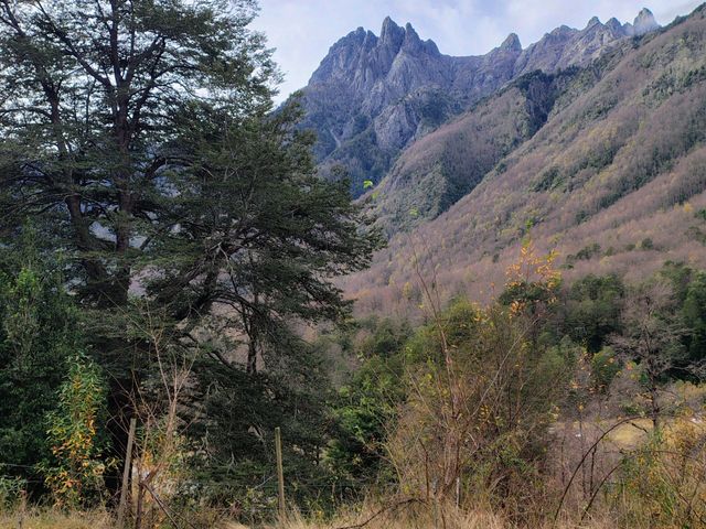 place photo 17