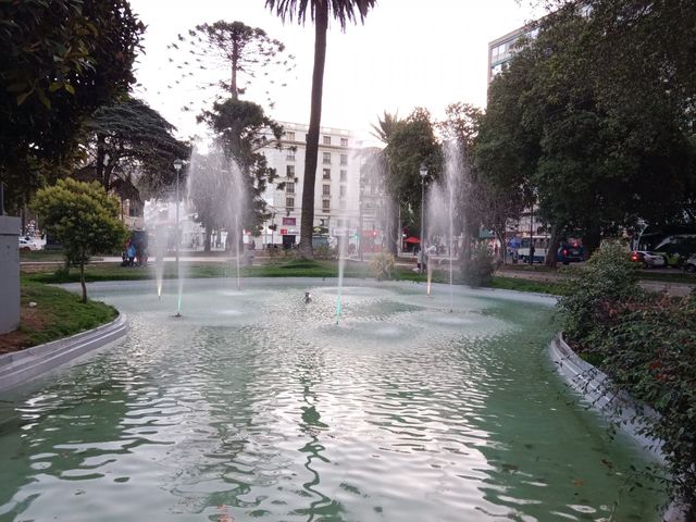 place photo 22