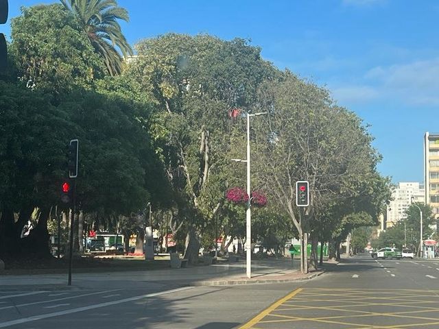place photo 24