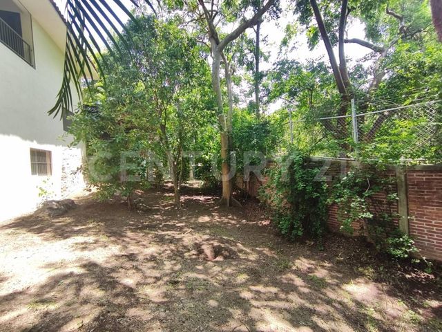 place photo 23
