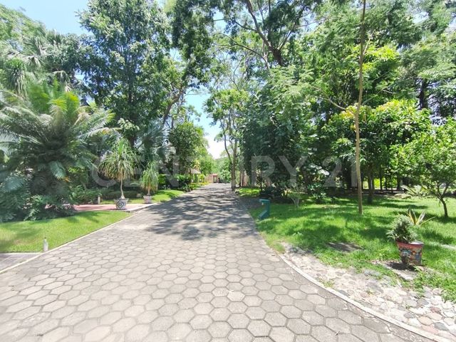 place photo 45