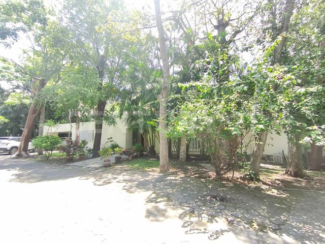 place photo 44