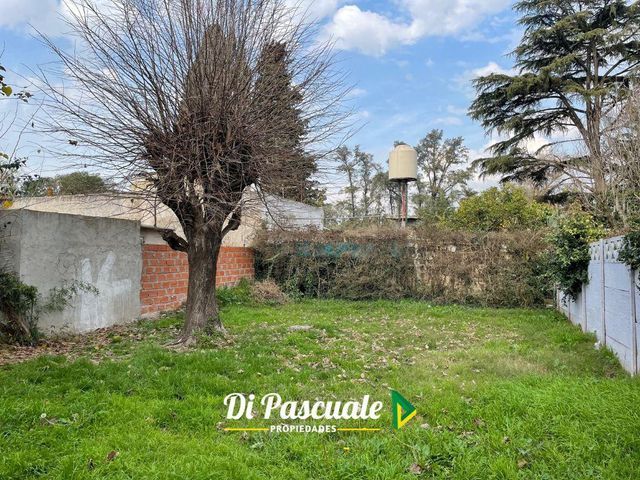 place photo 8