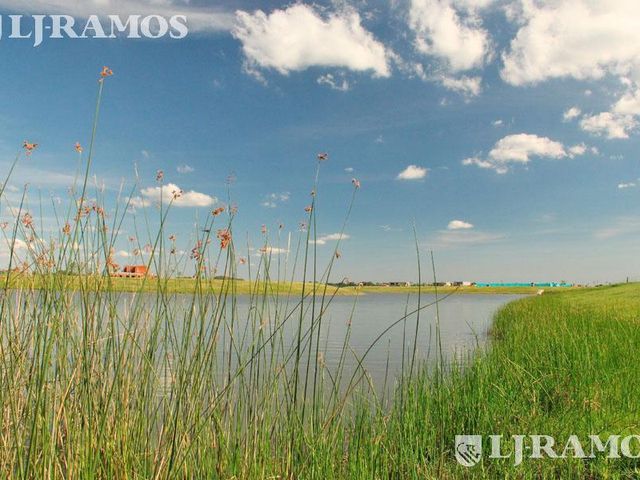 place photo 24