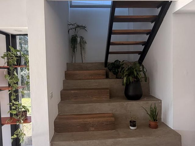place photo 54