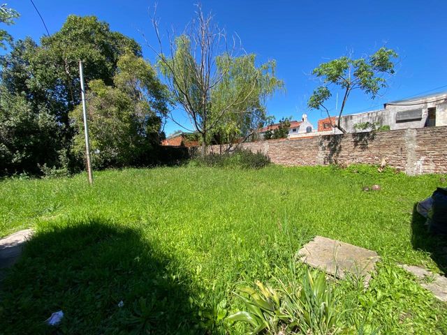 place photo 31