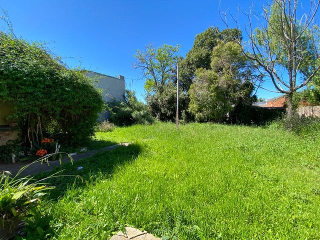 place photo 33
