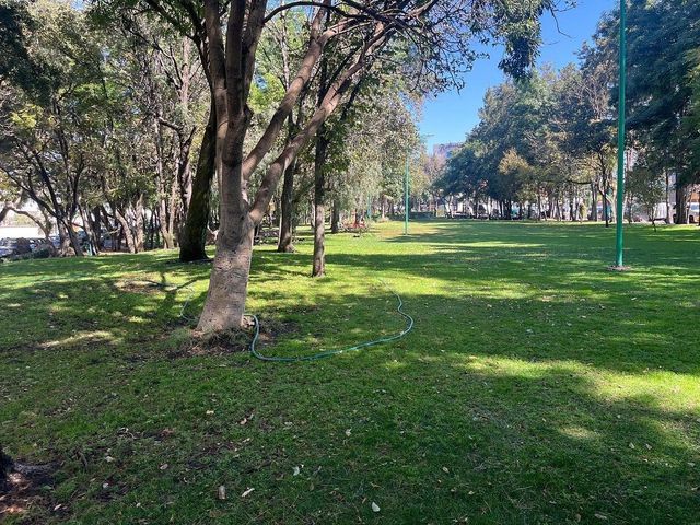 place photo 35