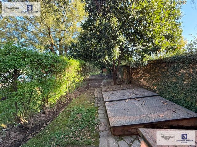 place photo 59