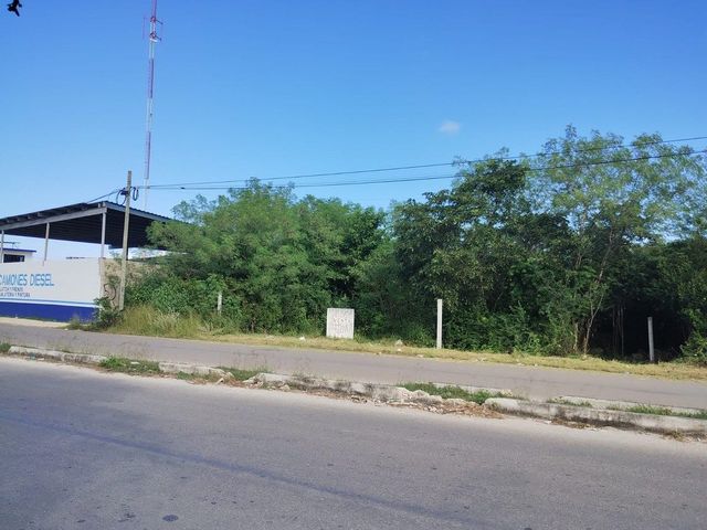 place photo 2