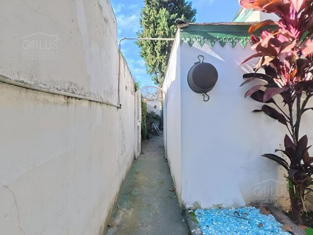 place photo 53