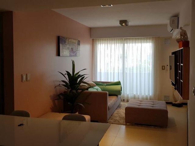 place photo 45