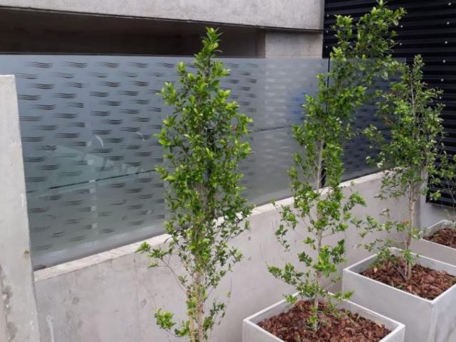 place photo 50