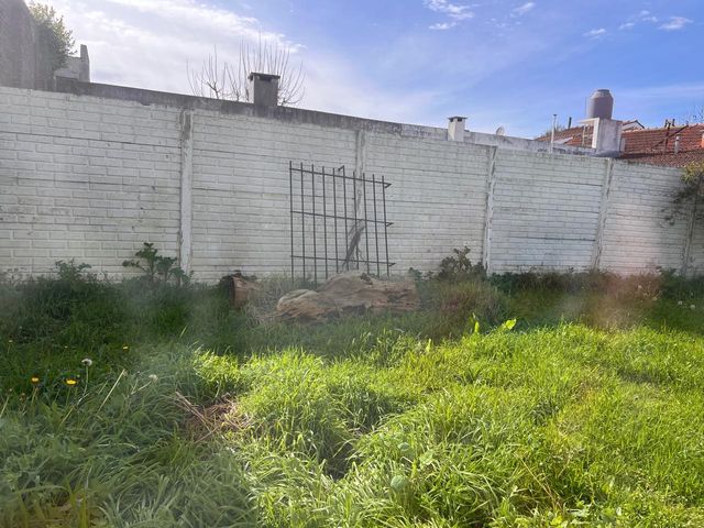 place photo 46