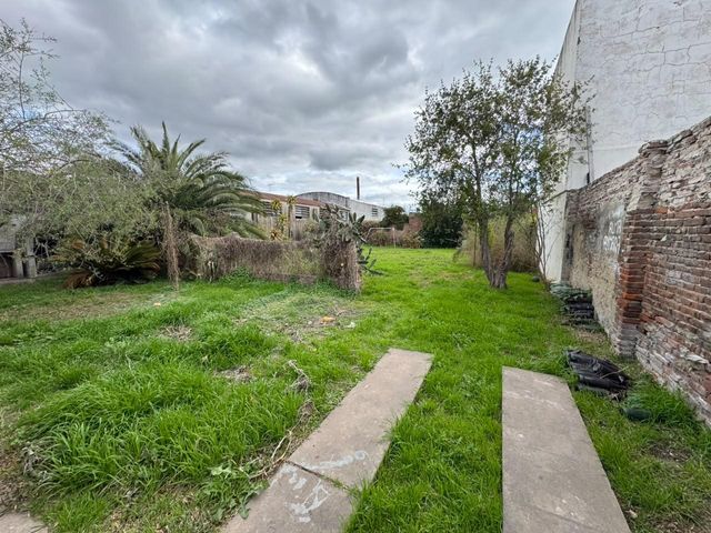 place photo 13