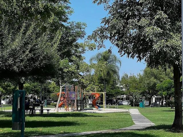 place photo 14
