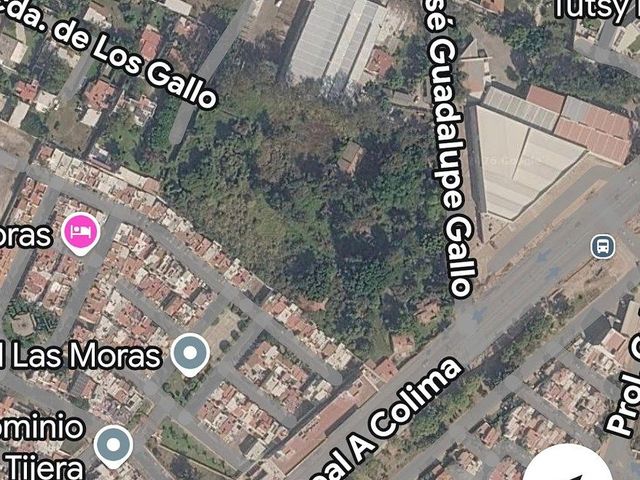 place photo 7