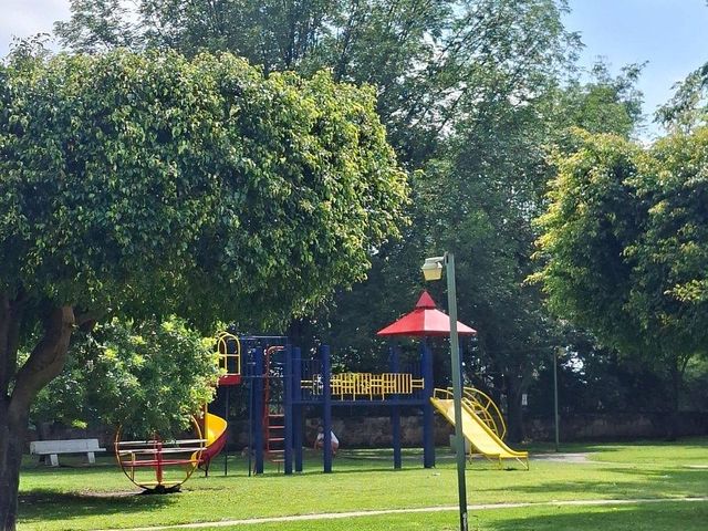 place photo 16