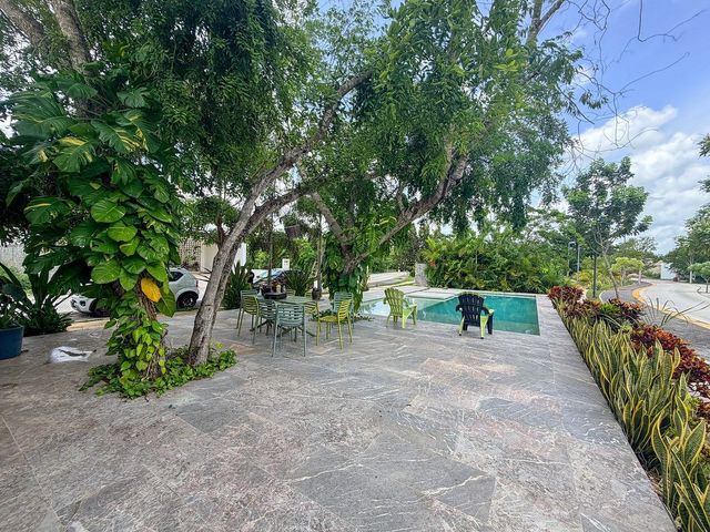 place photo 37