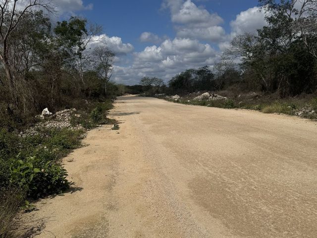 place photo 6